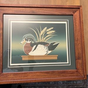 Wood duck Framed Wall Art